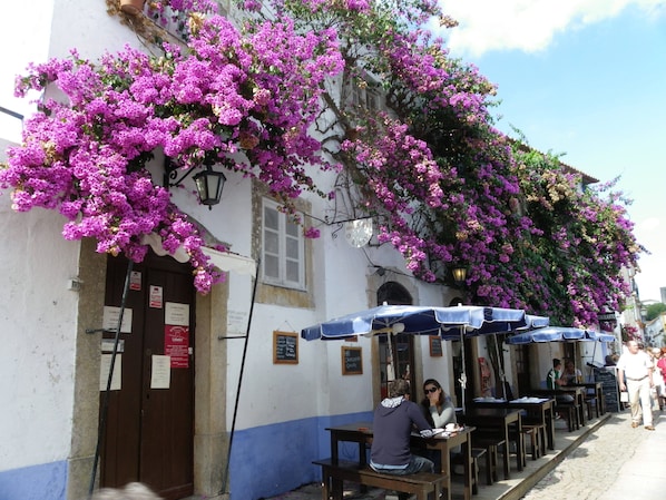 Outdoor dining - Beautifully Finished Spacious Penthouse Apartment In A Peaceful Location (Sao Martinho do Porto)