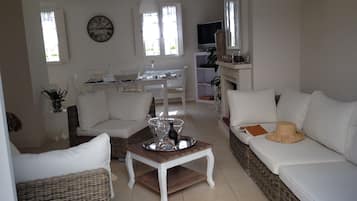 Smart TV, fireplace, DVD player, books
