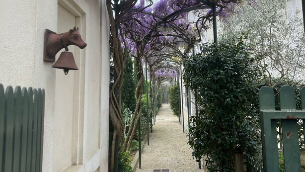 A narrow alleyway with a pergola covered in purple flowers, a bell on the wall, and a green gate. - House / Villa - Saint-Rémy-de-Provence (Saint-Rémy-De-Provence)