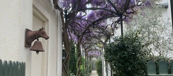 Villa au coeur de St Rémy de Provence. Tout à pied! Parking privé gratuit!