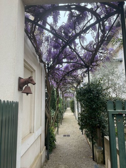 House / Villa - Saint-Rémy-de-Provence