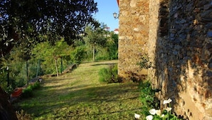A stone wall with a garden in the background.