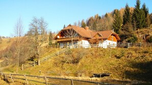 Een klassiek chalet met schuine kap, houten gevel en een stenen fundering, omgeven door een bebost helling en een beekje.