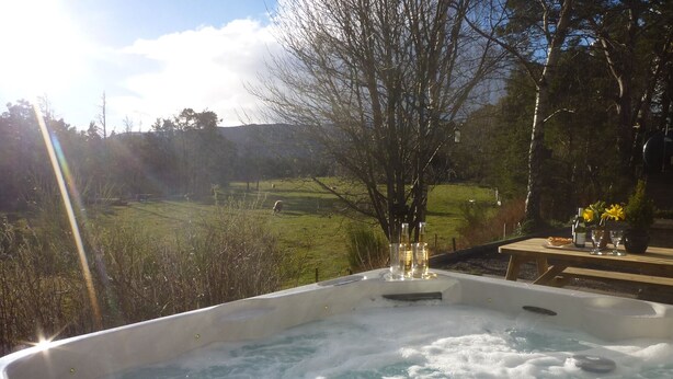 A hot tub with a view of a grassy field and trees. - Fabulous location, luxury lodge for 8+2 in cots, hot tub, garden, garage, dogs   (Aviemore)