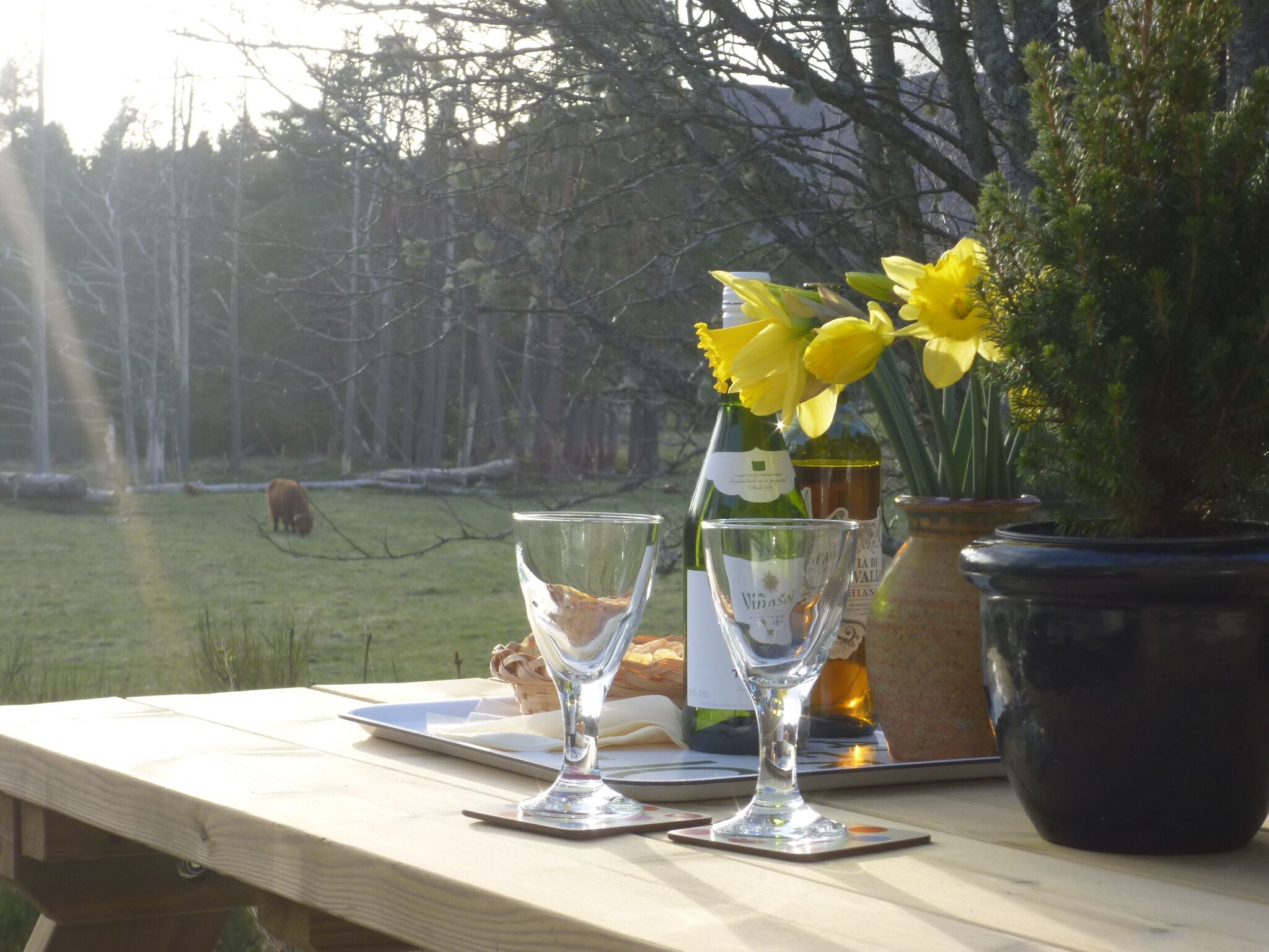A picnic table with wine glasses, a bottle, and a vase with flowers.