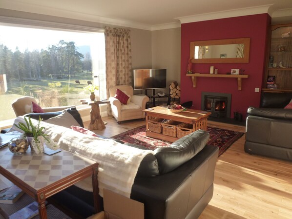 Smart TV, fireplace, DVD player, books