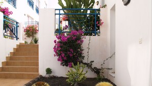 A courtyard with a staircase, a cactus plant, and a blue gate. - Fantastic Views Amadores, Wifi (Mogán)