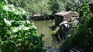 A rustic stone house by a clear stream surrounded by lush greenery. - Casas da Encosta, Shale Houses, Accommodation in Shale Village - Free Wifi (Sobreira Formosa)
