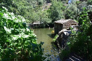 Property grounds - Casas da Encosta, Shale Houses, Accommodation in Shale Village - Free Wifi (Sobreira Formosa)