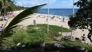 A beach with people, umbrellas, and a palm tree. - Charming T2 in Boucan Canot - La Canotière du Boucan - 55 m² (Boucan Canot)