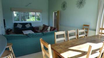 Smart TV, fireplace, DVD player, books