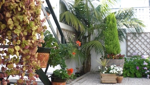 Ein Garten mit Topfpflanzen, einer Palme und einer hölzernen Bank.
