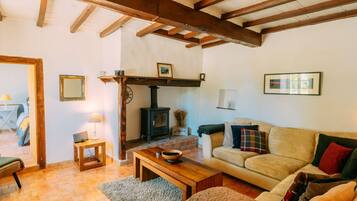 TV connectée, cheminée, lecteur de DVD, livres