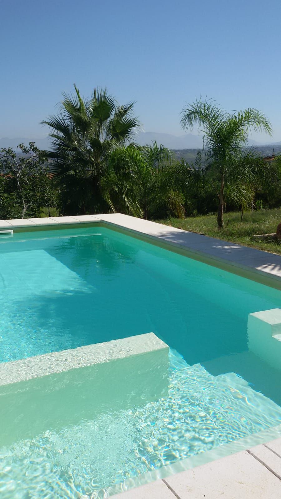 Una piscina rettangolare con acqua cristallina e azzurra, circondata da un solarium bianco e palme.
