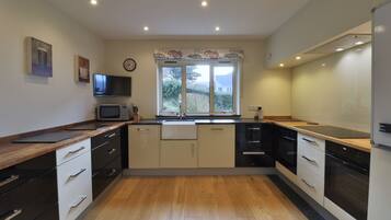 Frigorífico, microondas, horno y placa de cocina