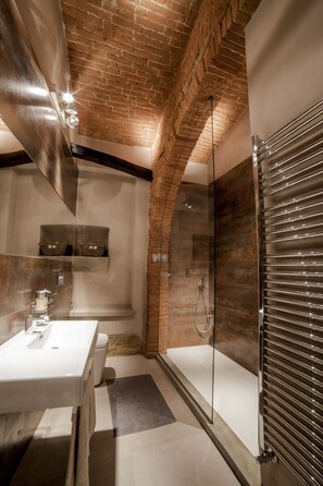 Combined shower/bathtub, hair dryer, bidet, towels - Charming & Luxury Historic Guest House in the Center of Arezzo ( Tuscany) (Arezzo)