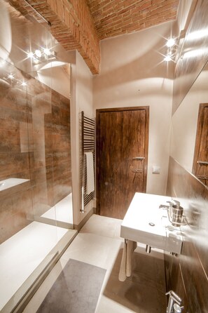 Combined shower/tub, hair dryer, bidet, towels