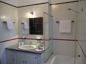 Combined shower/tub, hair dryer, bidet, towels