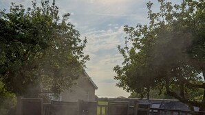Une piscine avec une terrasse en bois, entourée d’arbres et avec une maison en arrière-plan.