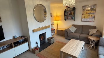 Télévision, cheminée, jeux vidéo, lecteur de DVD