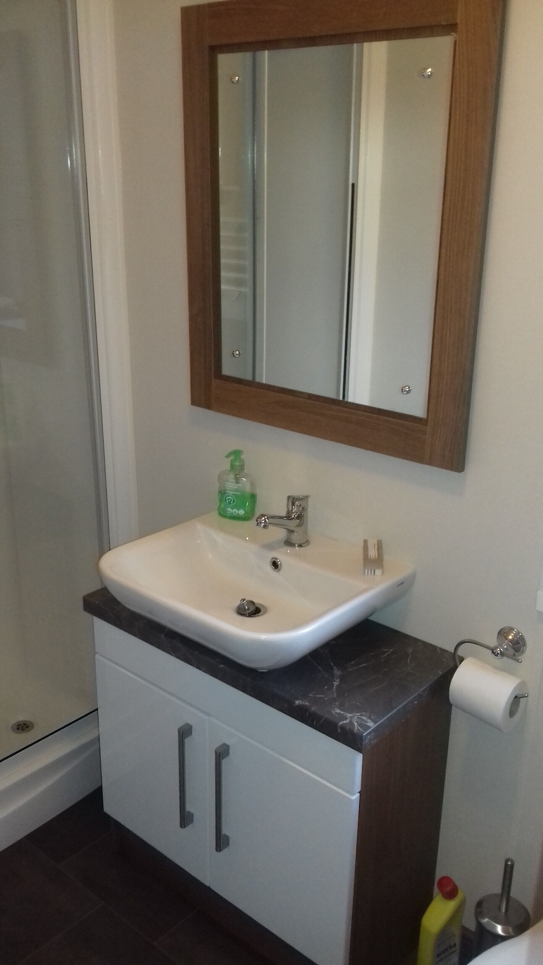 A bathroom with a white sink, a green soap dispenser, a mirror, and a toilet paper holder.