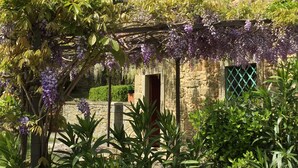 A stone building with green shutters, a pergola covered with purple flowers, and a well-maintained garden.