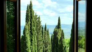 A view through a window of a pathway lined with tall cypress trees, leading to a distant landscape with hills and a body of water.