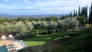 A landscaped garden with a pool, lounge chairs, and a view of distant mountains.