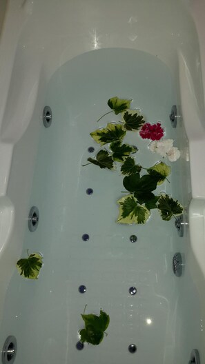 Duschwanne, Haartrockner, Bidet, Handtücher