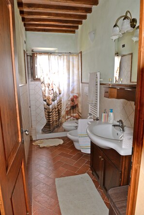 Shower, hair dryer, bidet, towels