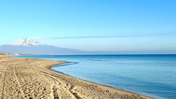 Camastros y toallas de playa