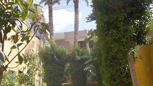 A courtyard with palm trees, a yellow wall, and a building with windows. - Beautiful view of the Pyramids, with air conditioning, WiFi, and touristic guide (Cairo)