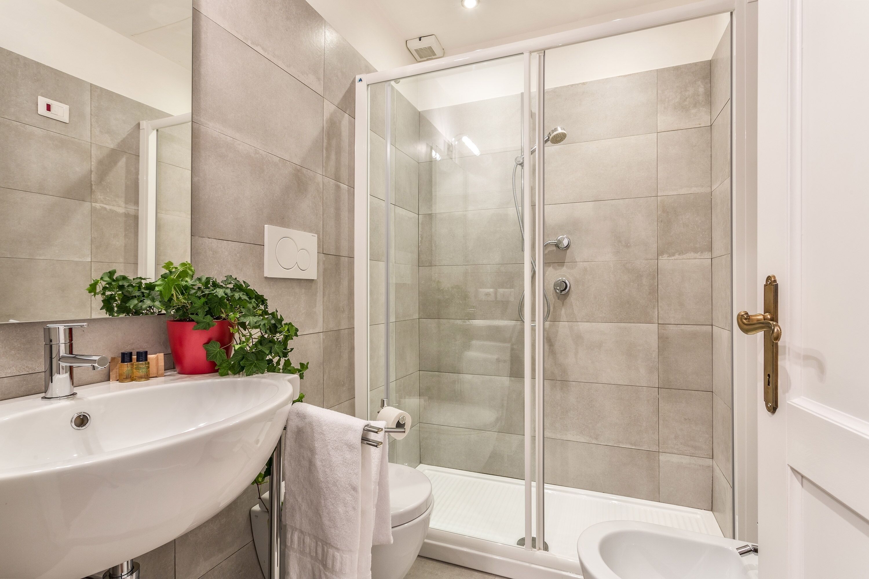 Shower, hair dryer, bidet, towels