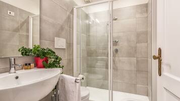 Shower, hair dryer, bidet, towels