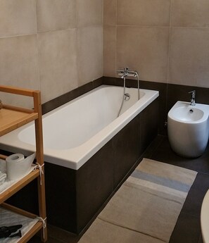 Combined shower/tub, hair dryer, bidet, towels