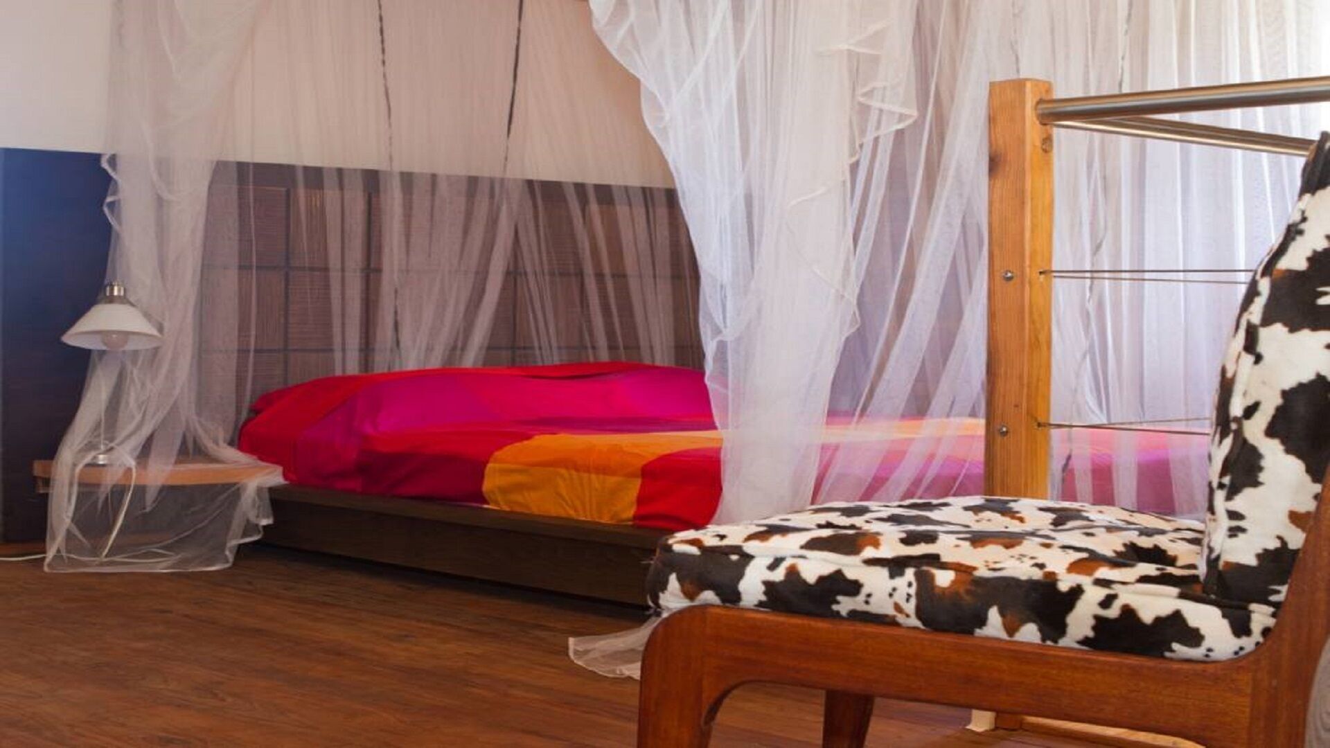A bedroom with a bed covered by a white canopy, a wooden chair with a cow print cushion, and a bedside table with a lamp.