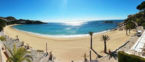 Playa en los alrededores y camastros 