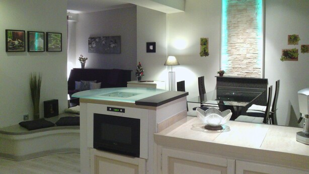 A modern living room with a dining area, a built-in oven, and a stone accent wall. - Apartment in a small house in the heart of Cagnes-sur-Mer (Cagnes-Sur-Mer)
