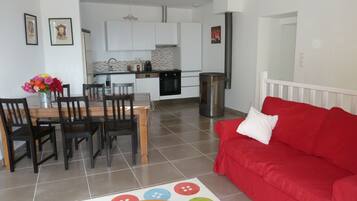 電視、DVD 播放機、書籍