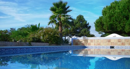 Airconditioned villa 2 to 10 people, private swimming pool and lovely ocean view