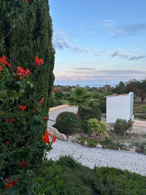 Property grounds - Airconditioned villa 2 to 10 people, private swimming pool and lovely ocean view (benagil)