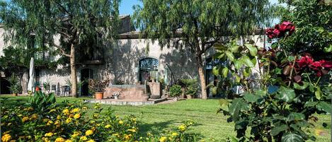 المنطقة المحيطة بالمنشأة