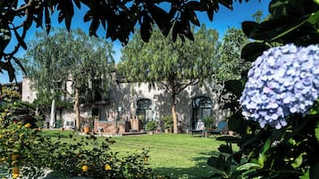 Área da propriedade