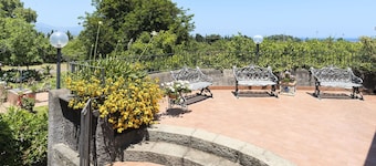 Charming villa with pool, blossoming garden & view