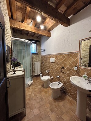 Regadera, secadora de cabello, bidet, toallas 