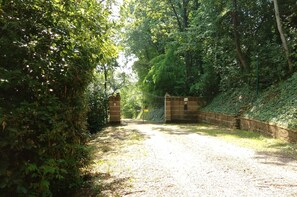 Stroll through a serene, lush area surrounded by dense foliage and a stone wall.