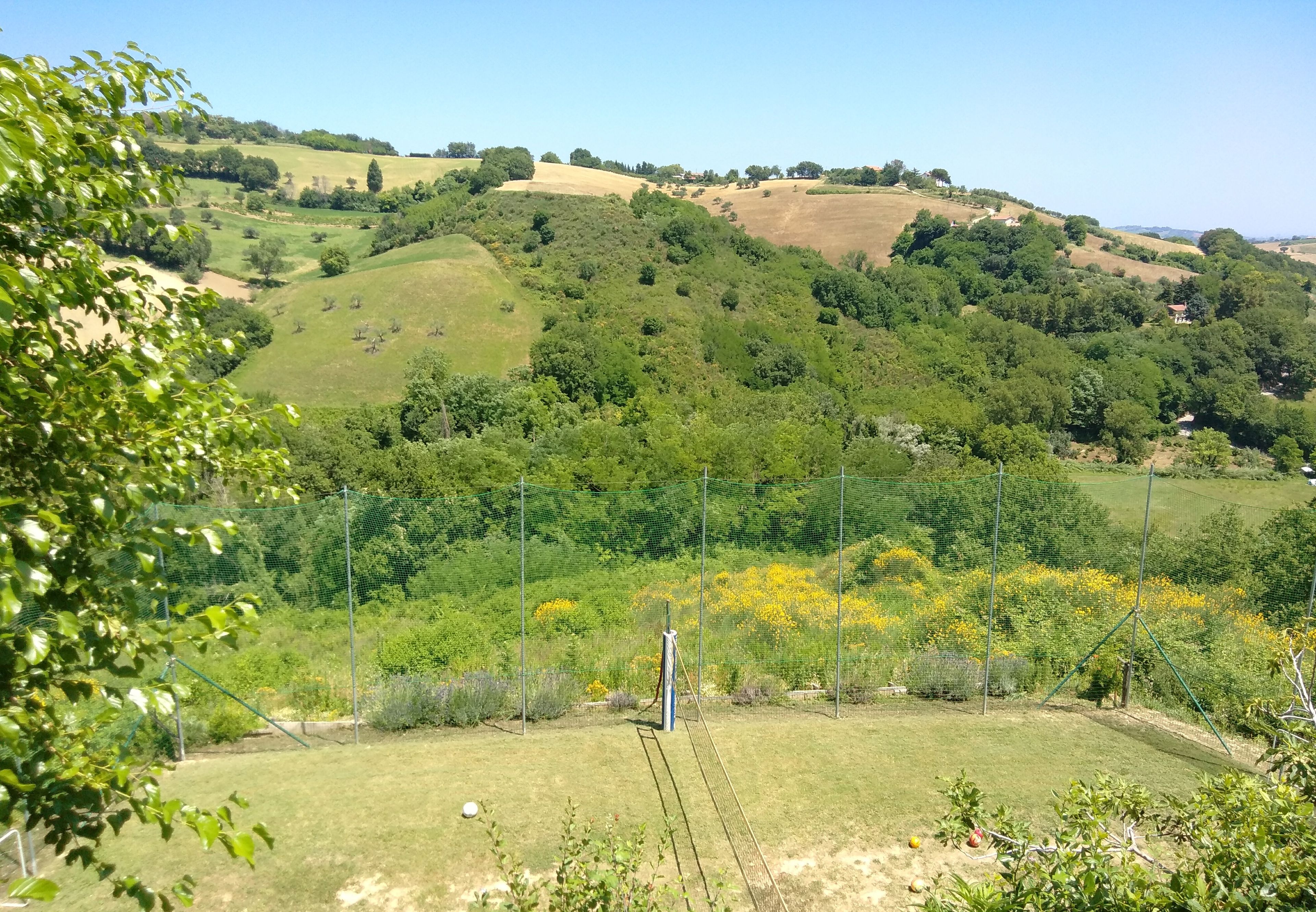 Un paysage rural avec des collines douces, un espace clos avec une pelouse et un ciel dégagé.