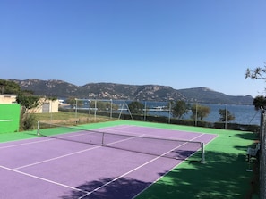 Terrain de sport
