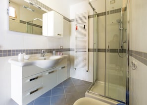 Shower, hair dryer, bidet, towels