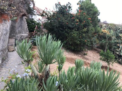 Finca Las Polinarias Casa Cueva en Fasnia